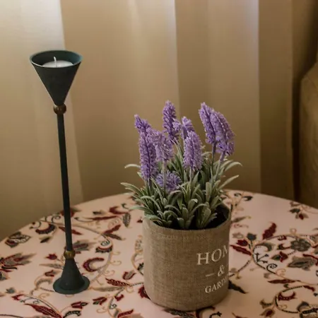 Elizabeth's Place Apartment *